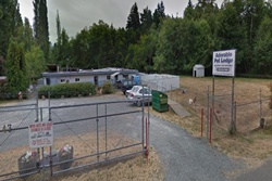 pet lodge pet resort and dog boarding in seattle, washington