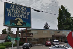 vet in seattle