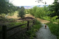 dog park in seattle