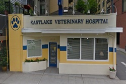 vet in seattle