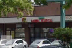 vet in seattle