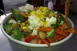 pet friendly restaurant in seattle