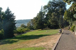 dog park in seattle