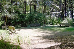 dog park in seattle