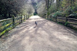 dog park in seattle