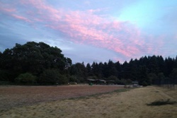 dog park in seattle