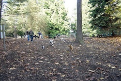 dog park in seattle