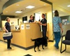 pet friendly vets in seattle, veterinarians in seattle washington